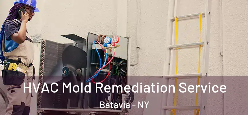 HVAC Mold Remediation Service Batavia - NY
