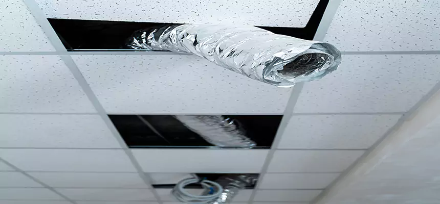 Affordable HVAC Sanitizing After Pest Removal in Batavia