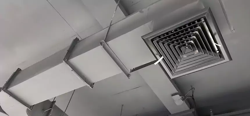 Restorative Allergy Relief Vent Cleaning – Coil, Blower & Housing Detail in Batavia