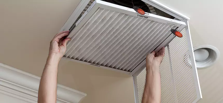 Our Insect Removal from Air Ducts Services in Batavia, NY