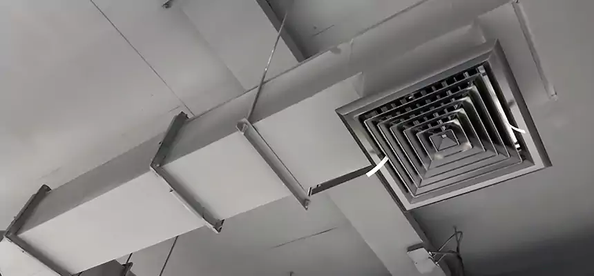 Our Rodent Droppings In Vents Services in Batavia, NY