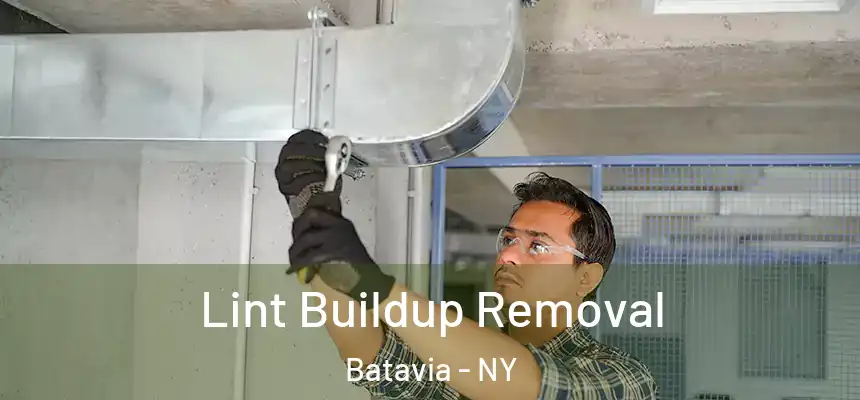  Lint Buildup Removal Batavia - NY