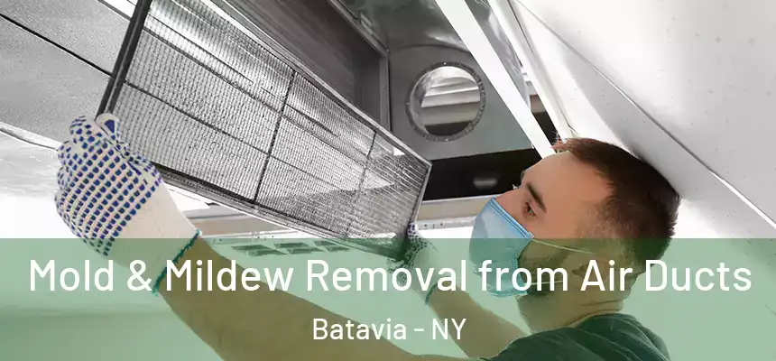  Mold & Mildew Removal from Air Ducts Batavia - NY
