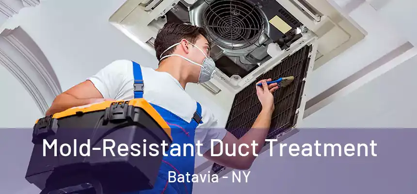  Mold-Resistant Duct Treatment Batavia - NY