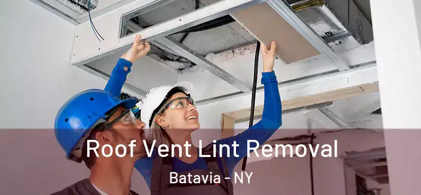  Roof Vent Lint Removal Batavia - NY