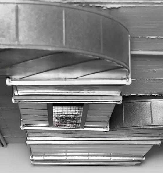 Professional Air Duct Pet Hair Removal in Batavia, NY