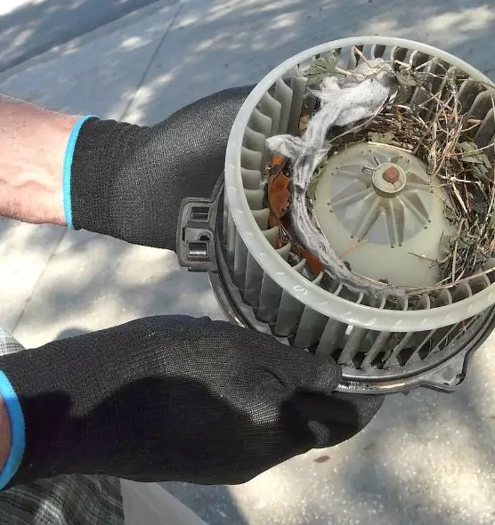 About Air Duct Rat Removal in Batavia, NY