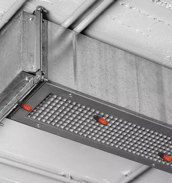 Affordable Insect Removal from Air Ducts in Batavia, NY