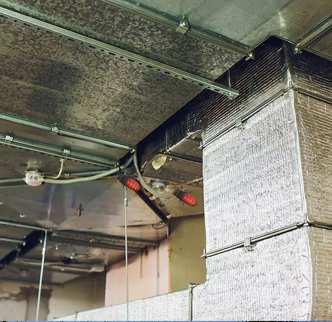 Why Homeowners & Businesses Trust Us in Batavia, NY?