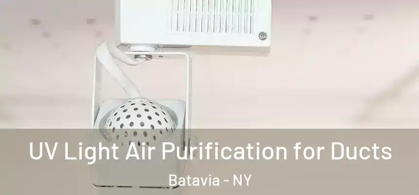  UV Light Air Purification for Ducts Batavia - NY